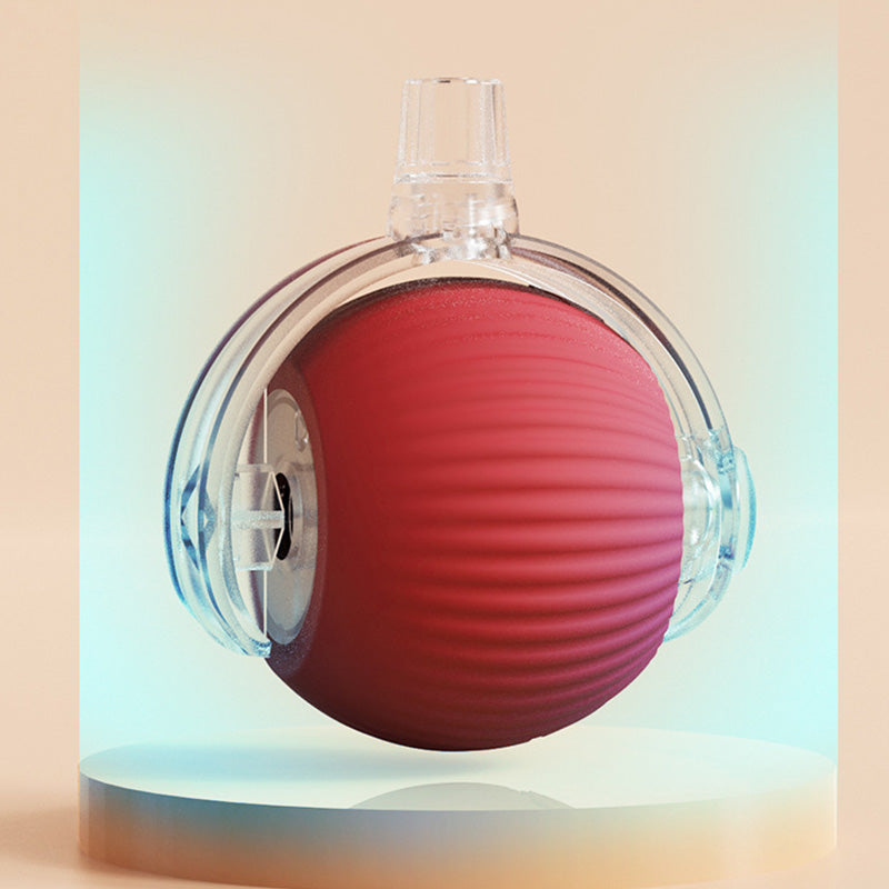 đ±đ¶ Intelligent automatisk rullende ball for kjĂŠledyr