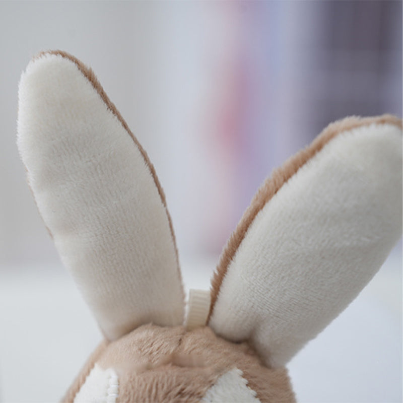 Gulrot Kanin Dukker Leke