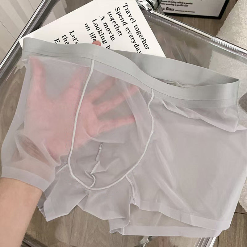Boxershorts i gjennomsiktig is-silke for menn