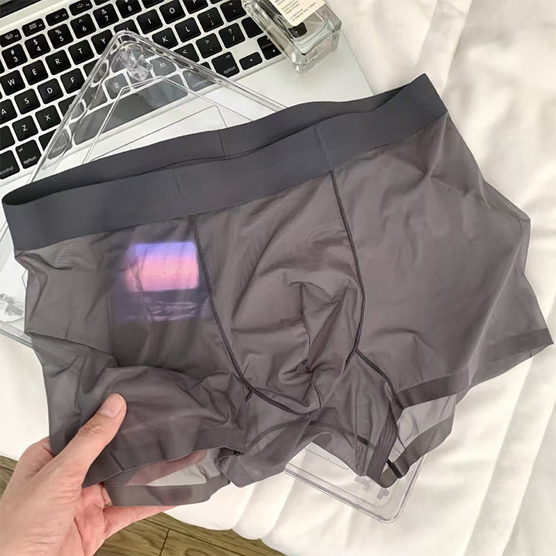 Boxershorts i gjennomsiktig is-silke for menn