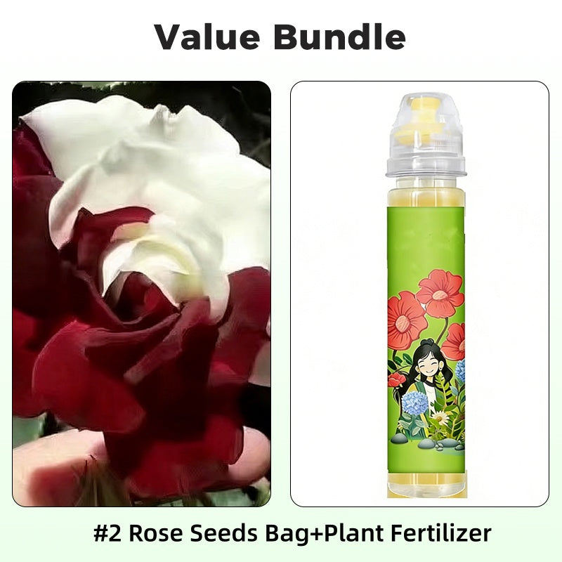 Frø til tofargede røde og hvite roser