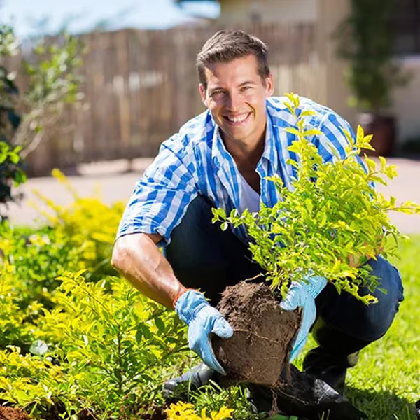 Jordforbedrings løsner