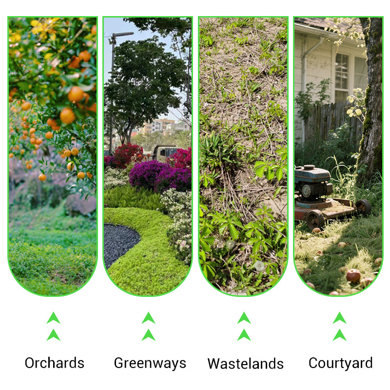 🌿 Weed Annihilator Pro 💀 - Total rotødeleggelse på 24 timer! ⏳✨