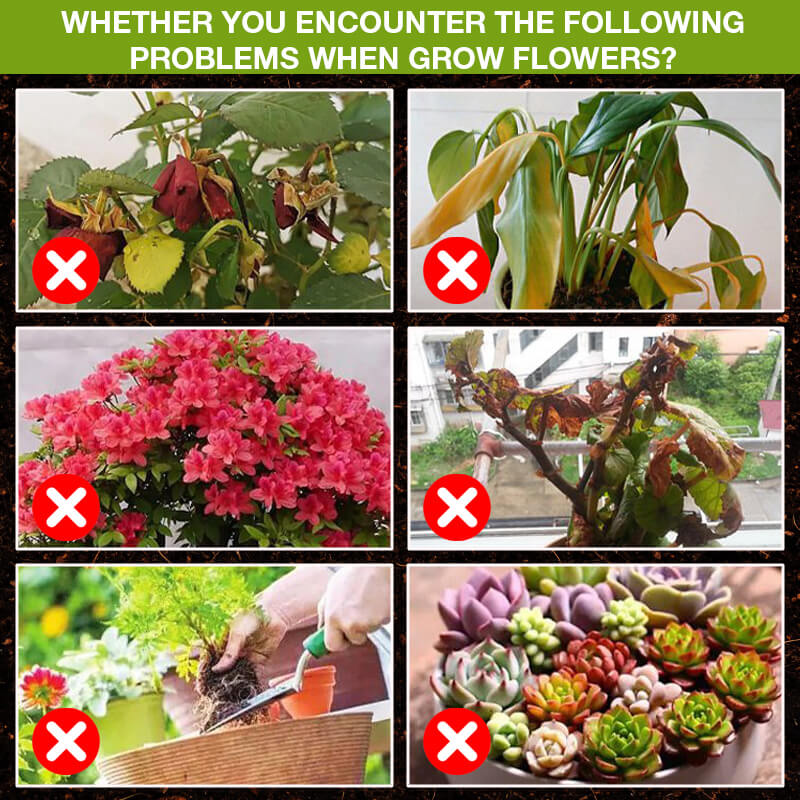 Plantevekstfremmere, kosttilskudd og energiboostere