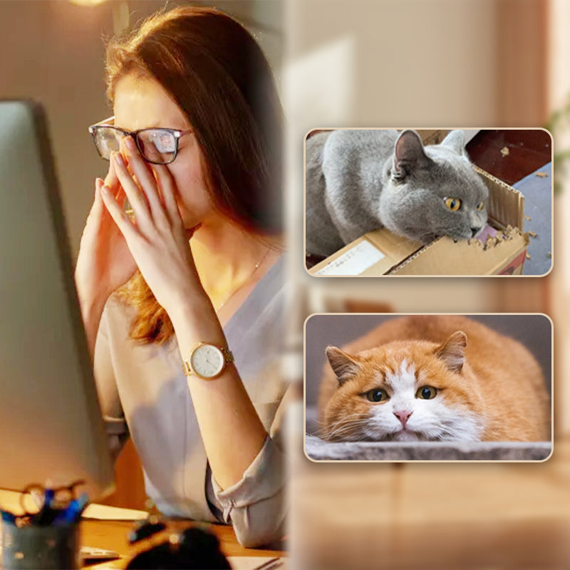 🐈Kjøp 1 få 1 gratis🐈Interaktiv hoppeball for katter med fjær