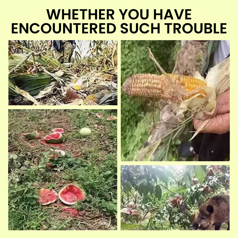 Solcelledrevet dyreavvisende varsellys med høy alarm