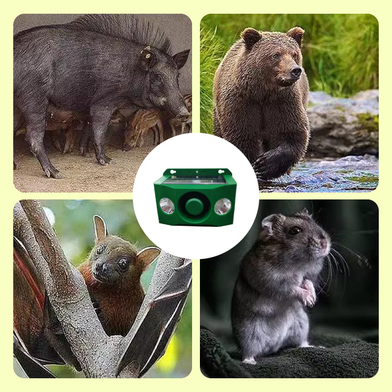 Solcelledrevet dyreavvisende varsellys med høy alarm