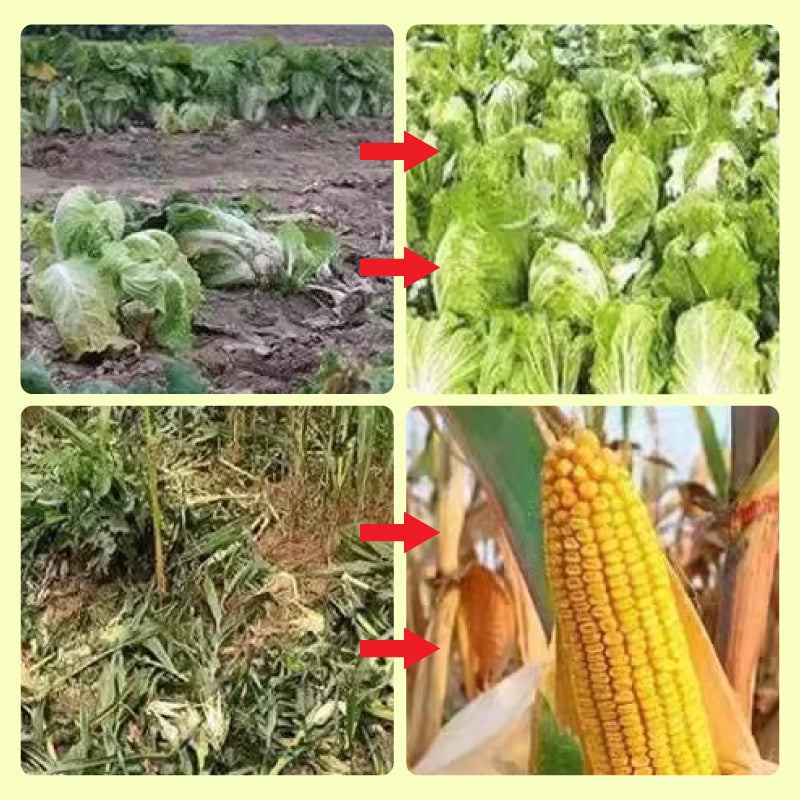 Solcelledrevet dyreavvisende varsellys med høy alarm