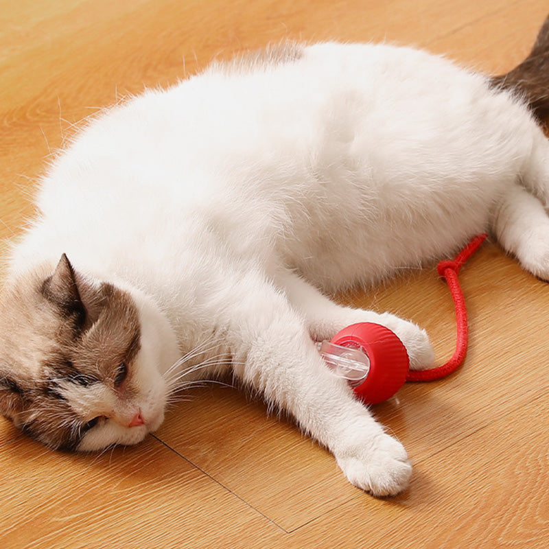 🐱🐶 Intelligent automatisk rullende ball for kjæledyr