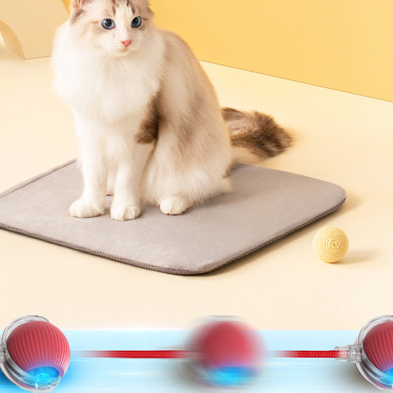 🐱🐶 Intelligent automatisk rullende ball for kjæledyr