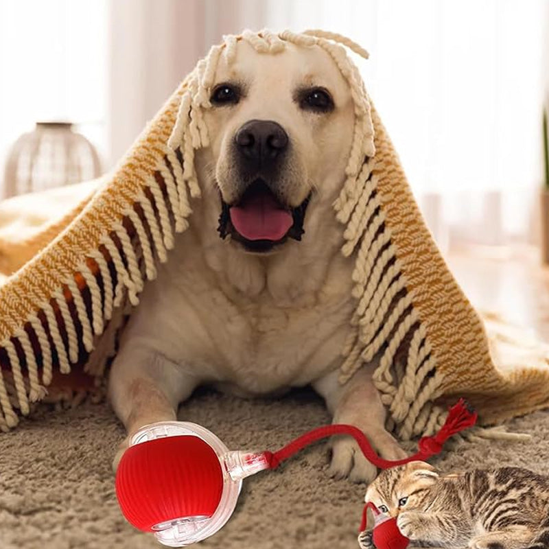 🐱🐶 Intelligent automatisk rullende ball for kjæledyr