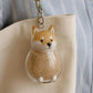 🔥Buy 1 get 2 free 🔥Dog Hair Collector Keychain🐕—— Always With You💕"