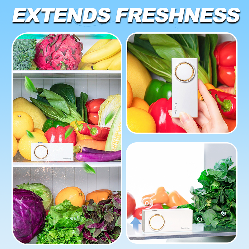 Rechargeable Refrigerator Sterilizer and Deodorizer