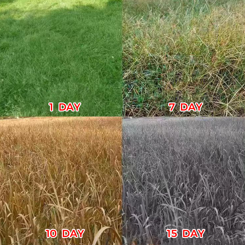 🌿 Weed Annihilator Pro 💀 - Total rotødeleggelse på 24 timer! ⏳✨