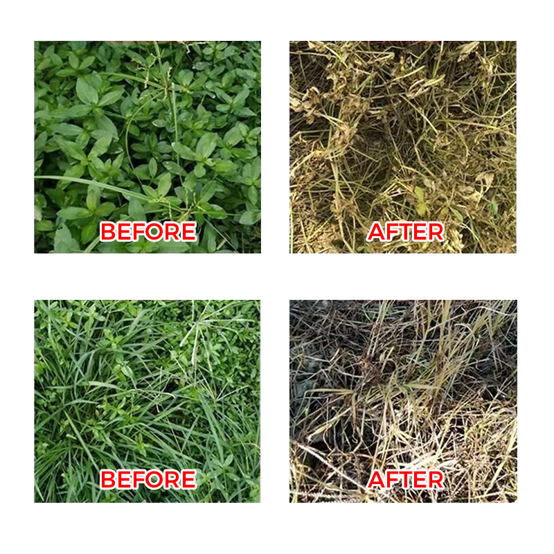 🌿 Weed Annihilator Pro 💀 - Total rotødeleggelse på 24 timer! ⏳✨