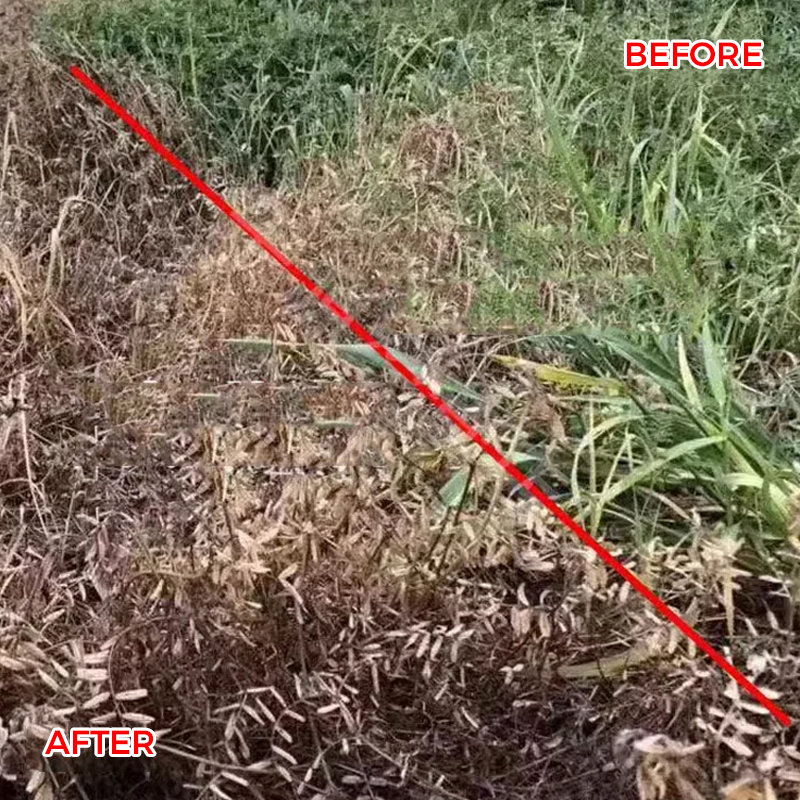 🌿 Weed Annihilator Pro 💀 - Total rotødeleggelse på 24 timer! ⏳✨