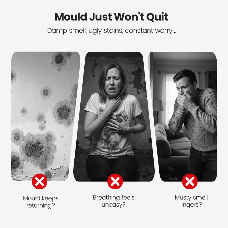 Black Friday-tilbud Dyptvirkende muggfjernerspray