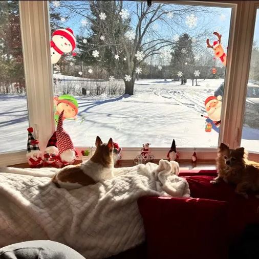 ❄Julevindusklistremerker