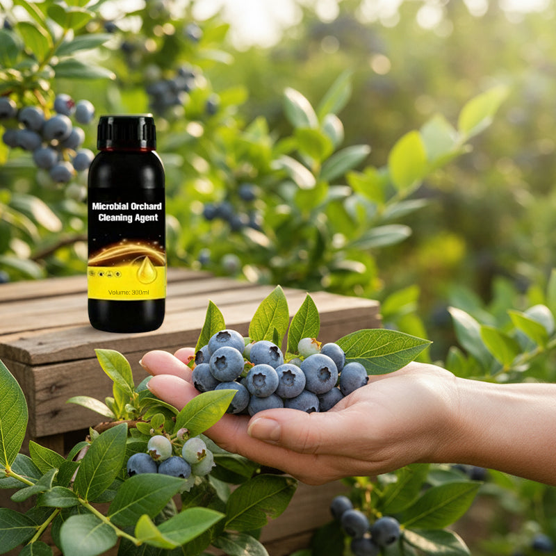 Mikrobielt rengjøringsmiddel for frukthager