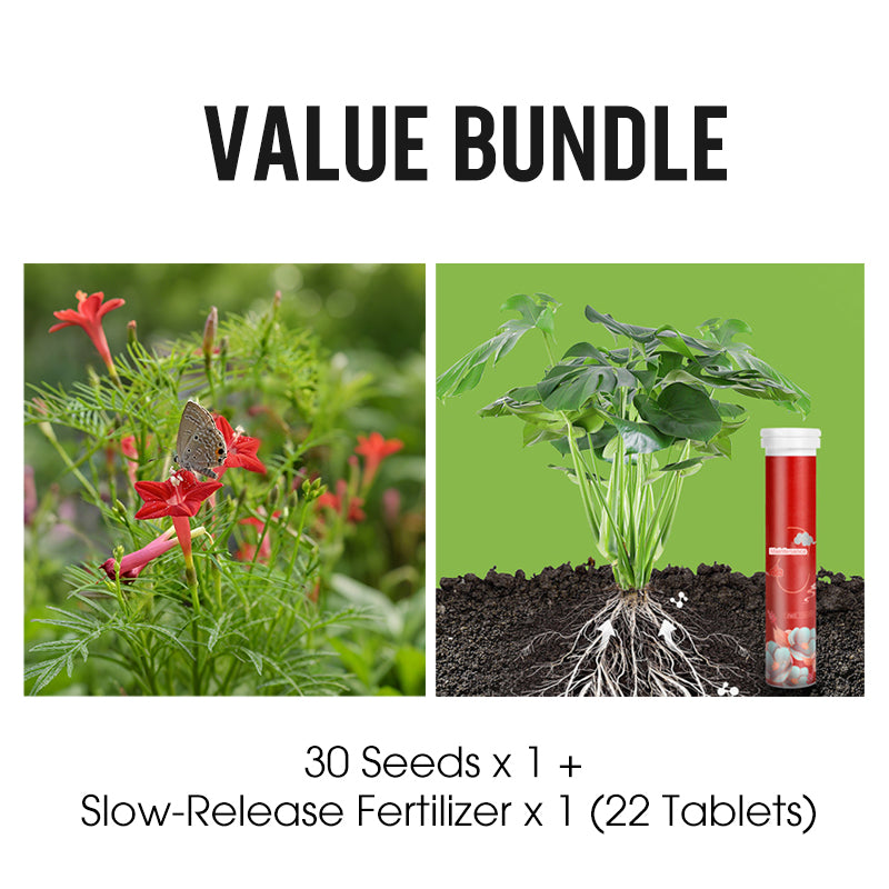 Cypressfrø for klatring