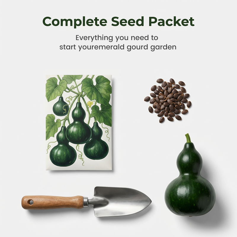 Mørkegrønne mini-gresskarfrø til planting