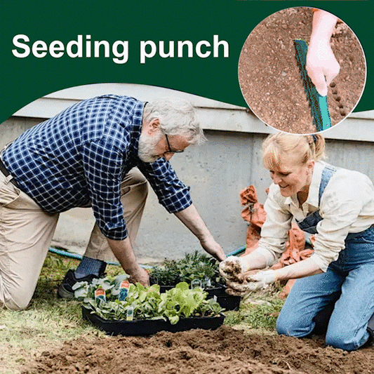 ⏳Begrenset tid med 50 % rabatt💥🌱Hagefrøavstandsstykker og dibbles - 12-hulls presisjonsverktøy for planting