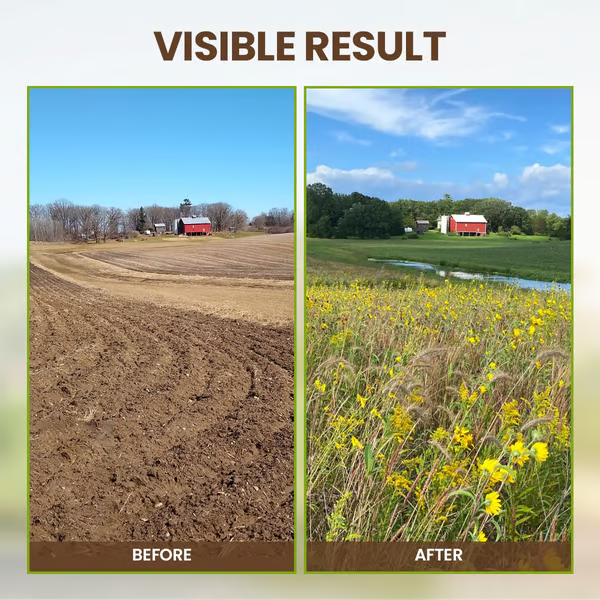 Jordforbedrings løsner